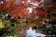 最勝寺の紅葉