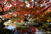 最勝寺の紅葉