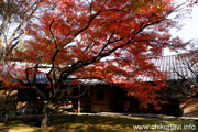 最勝寺の紅葉