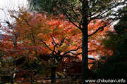 最勝寺の紅葉