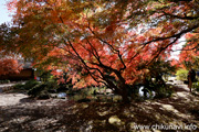 最勝寺の紅葉