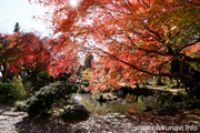 最勝寺の紅葉