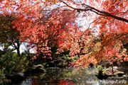 最勝寺の紅葉