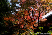 最勝寺の紅葉