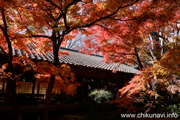 最勝寺の紅葉