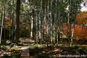 最勝寺の紅葉