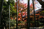 最勝寺の紅葉