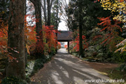 最勝寺の紅葉