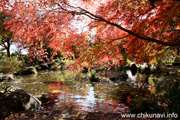 最勝寺の紅葉