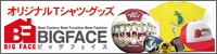 BIGFACE