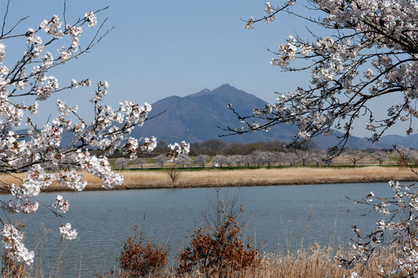 母子島遊水地