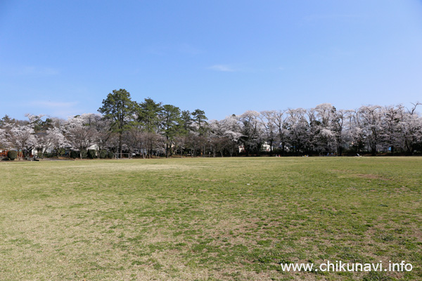 明野中央公園