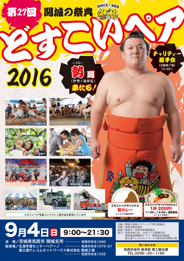 関城の祭典 どすこいペア