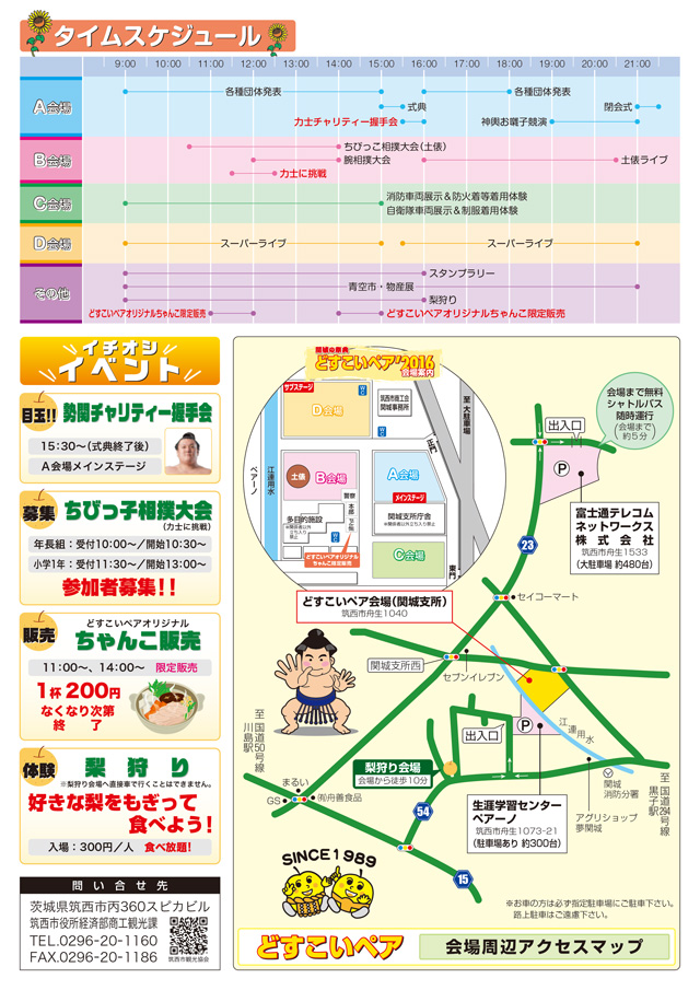 関城の祭典 どすこいペア