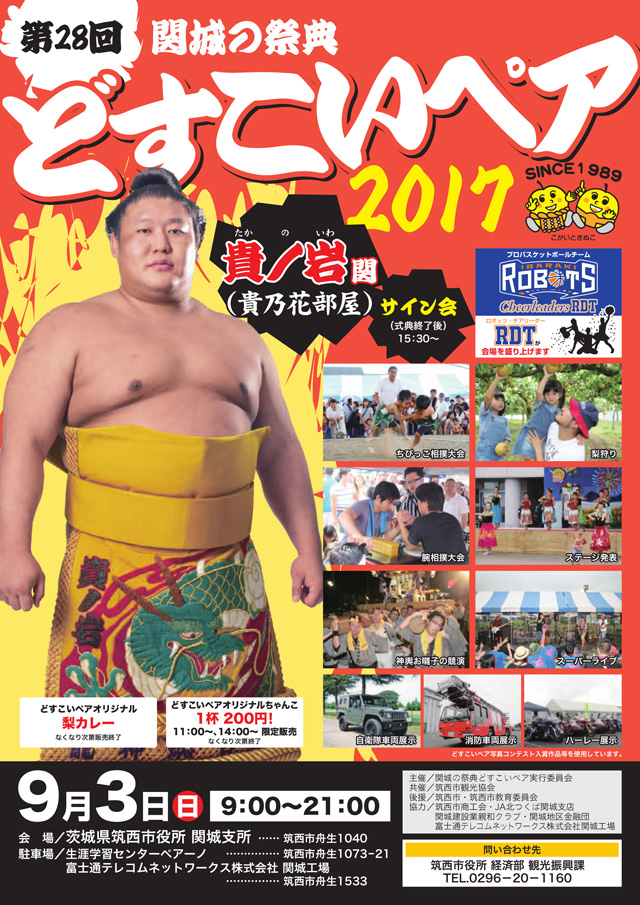 関城の祭典 どすこいペア