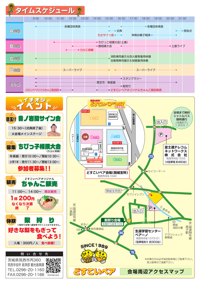 関城の祭典 どすこいペア