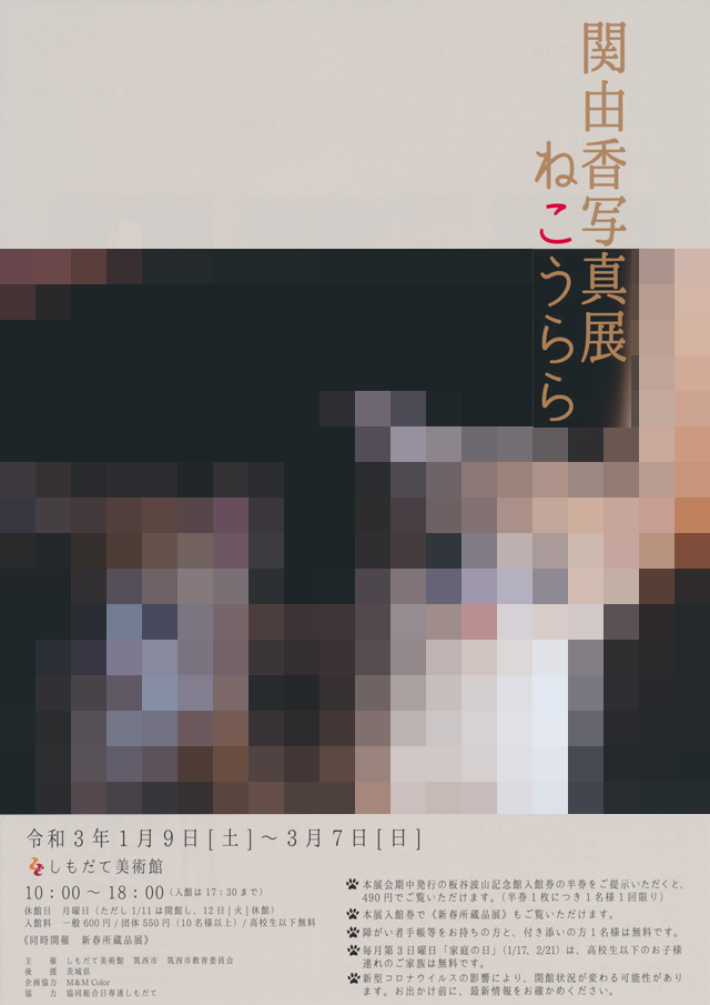 関由香写真展 ねこうらら