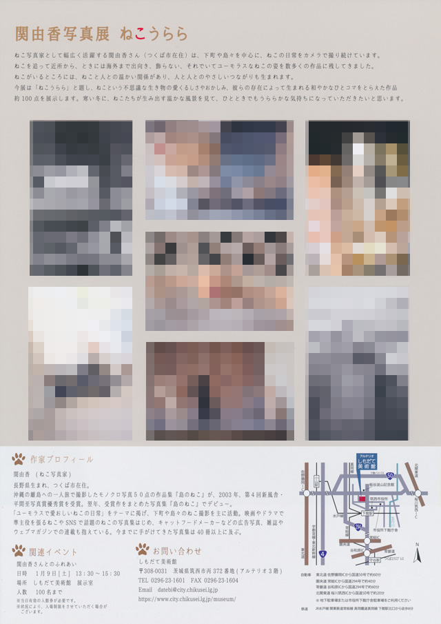 関由香写真展 ねこうらら