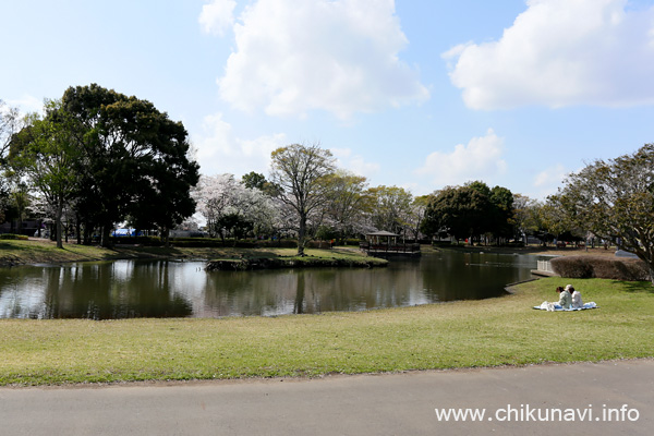 県西総合公園の桜 [2023年3月29日撮影]