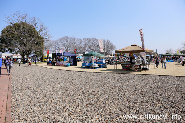 けいせい春フェス2025 [2025年3月22日撮影]