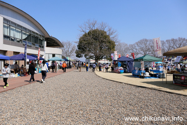 けいせい春フェス2025 [2025年3月22日撮影]