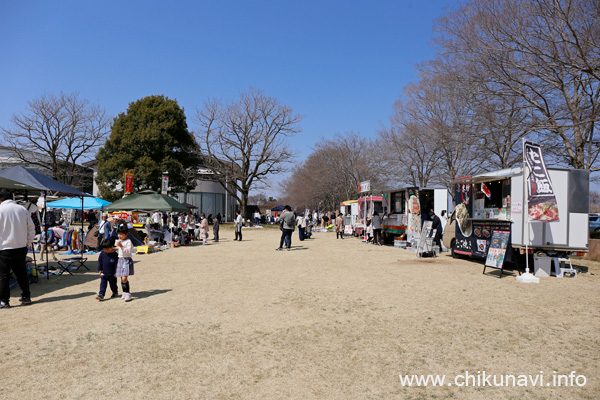 けいせい春フェス2025 [2025年3月22日撮影]
