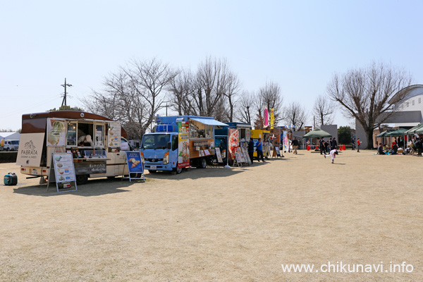けいせい春フェス2025 [2025年3月22日撮影]