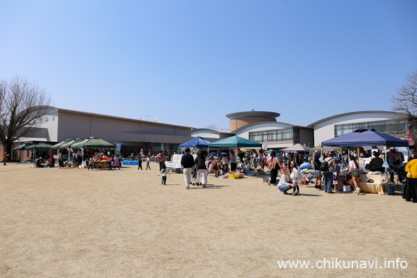 けいせい春フェス2025 [2025年3月22日撮影]