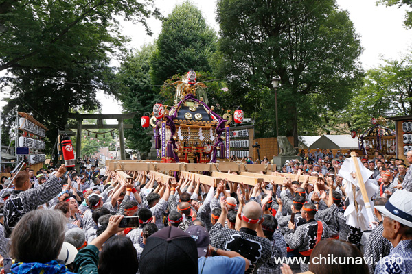 下館祇園まつり 明治神輿 [2025年7月27日撮影]