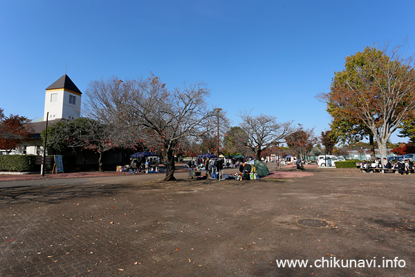 秋季いばらき都市緑化フェスティバル [2025年11月15日撮影]