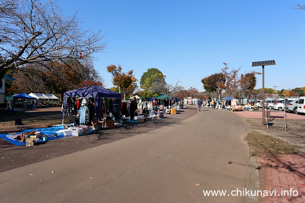 秋季いばらき都市緑化フェスティバル [2025年11月15日撮影]