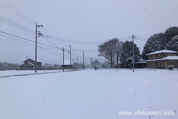 筑西市野殿に降った雪 [2026年2月8日撮影]